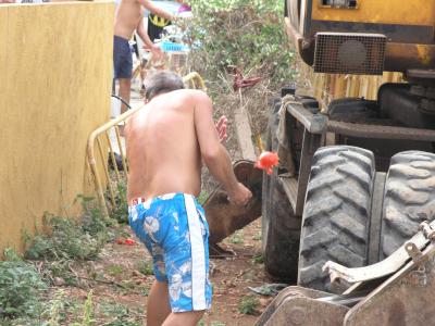 Camping Vinar&ograve;s – Fiesta de la Tomatina